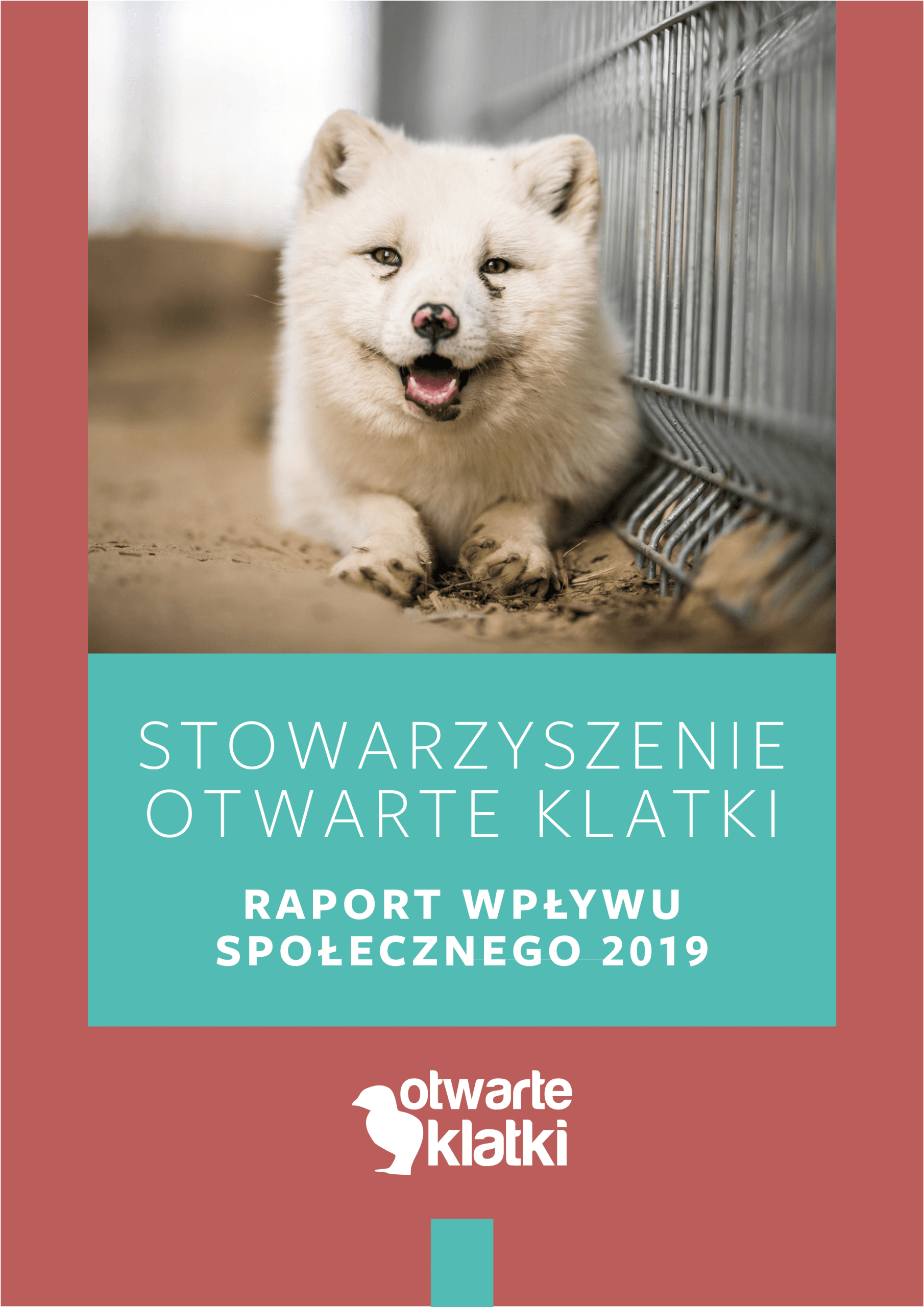 Okładka raportu wpływu społecznego 2019