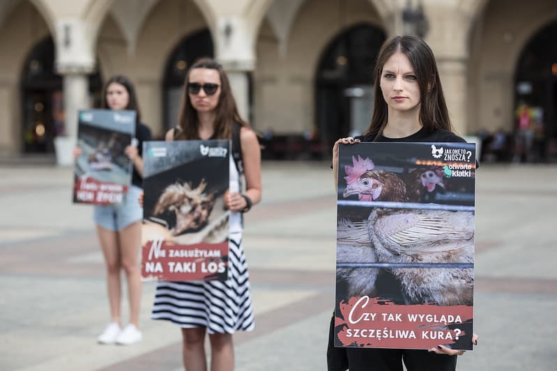 protest