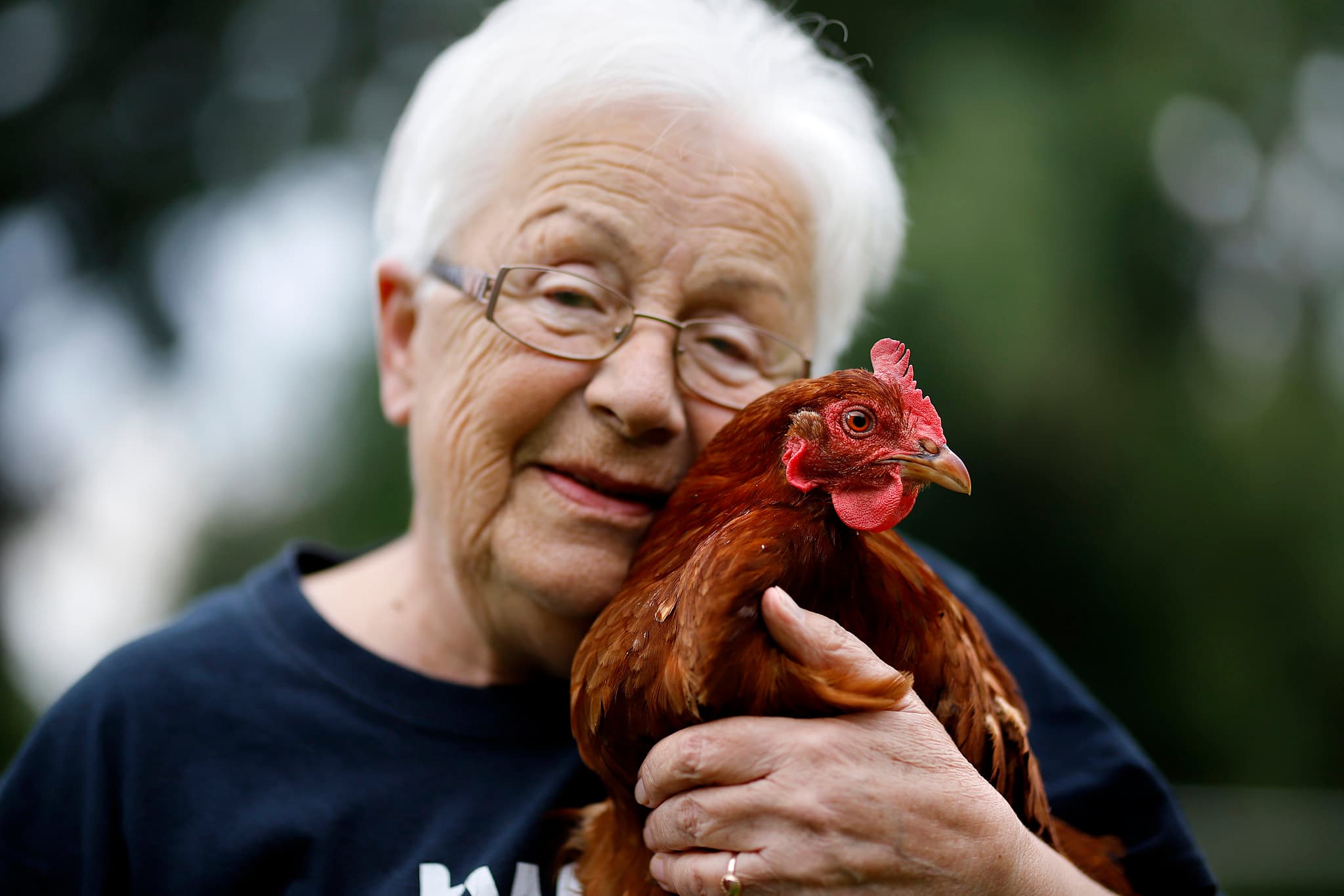 Starsza kobieta w koszulce Otwartych Klatek przytula kurę