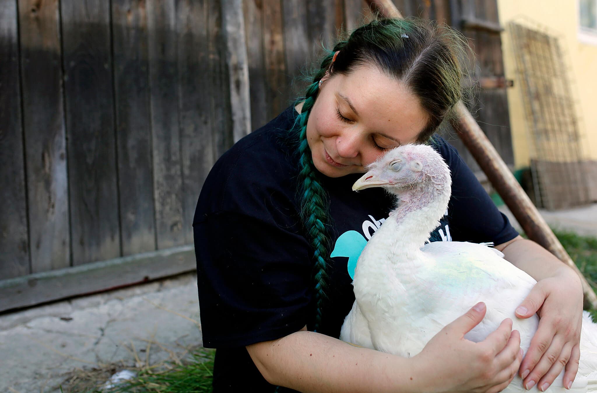 Młoda kobieta w koszulce Otwartych Klatek przytula indyka uratowanego z fermy.